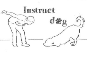 Instructdog